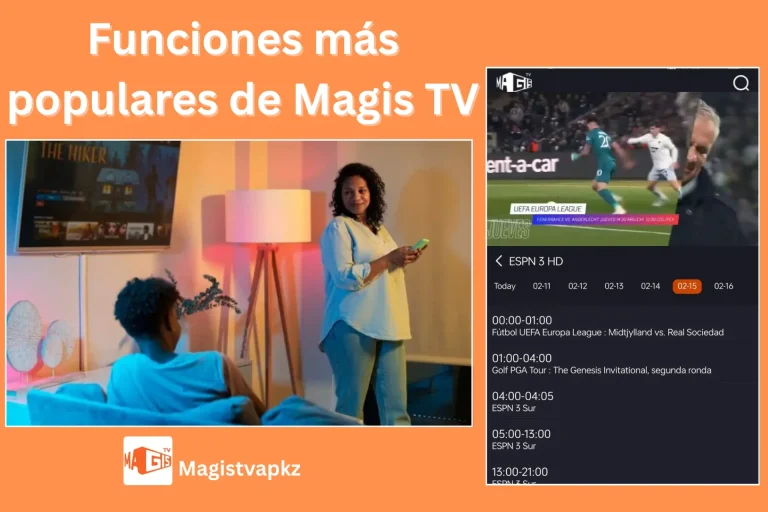 6 Características más populares de Magistv